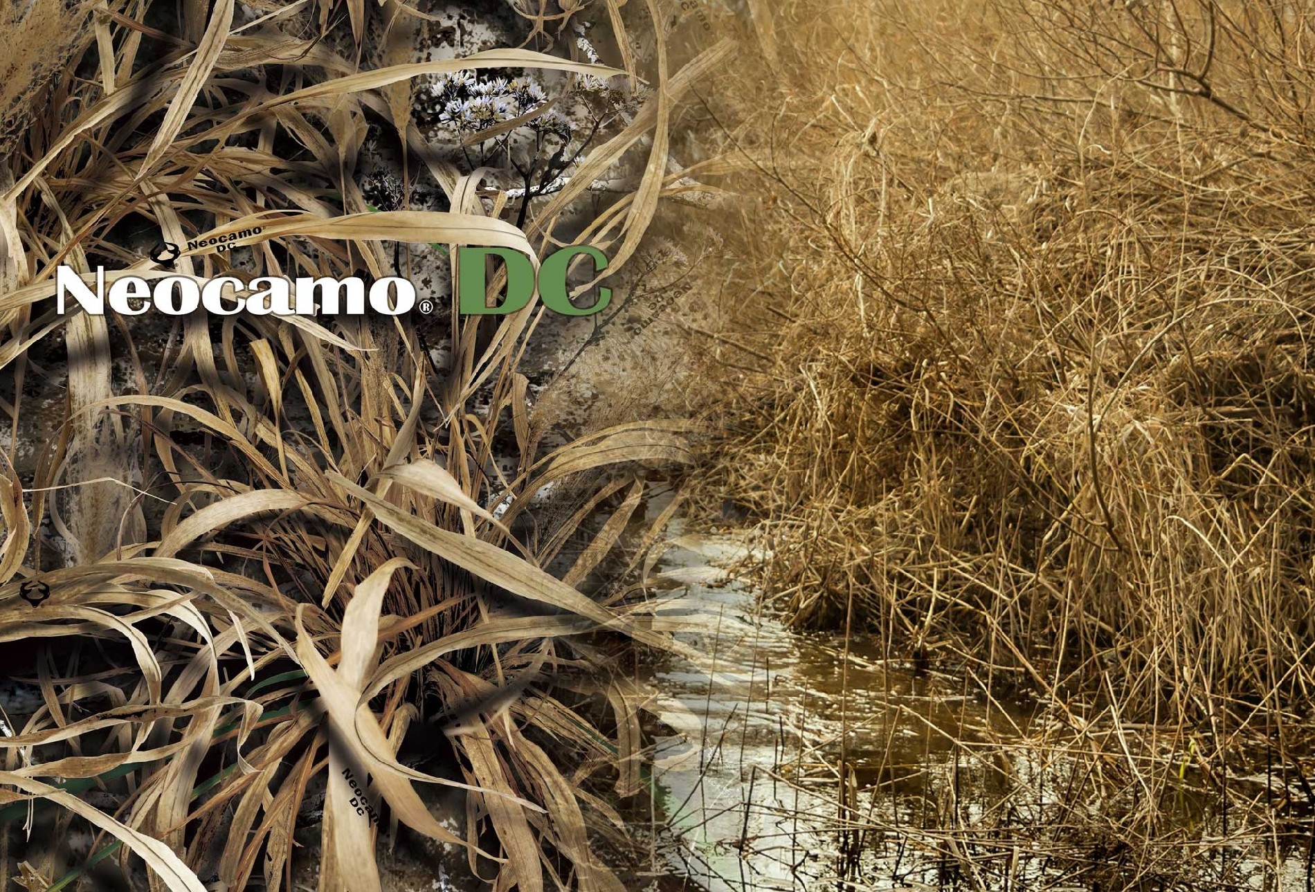 Neocamo DC