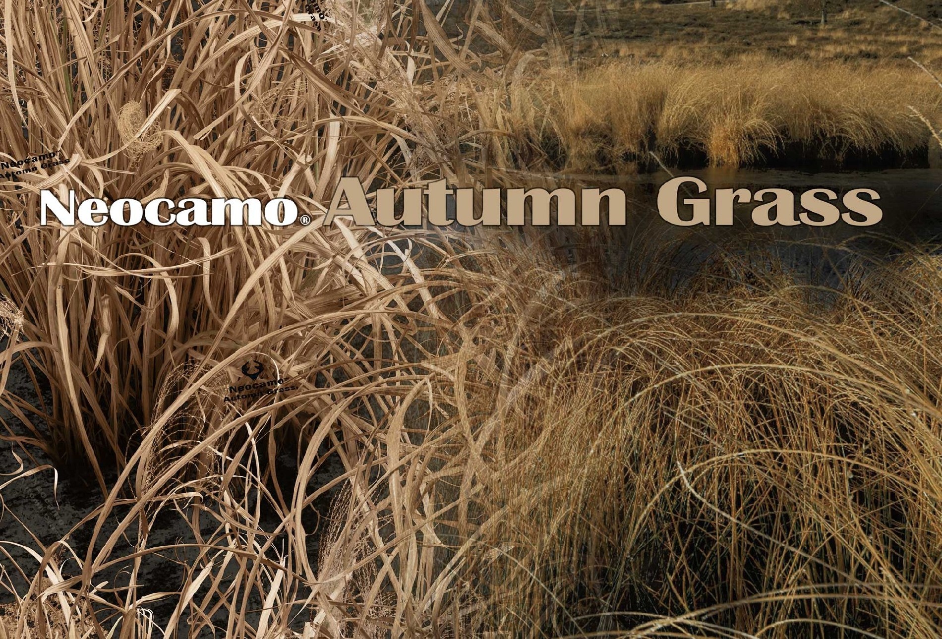 Neocamo Autumn Grass