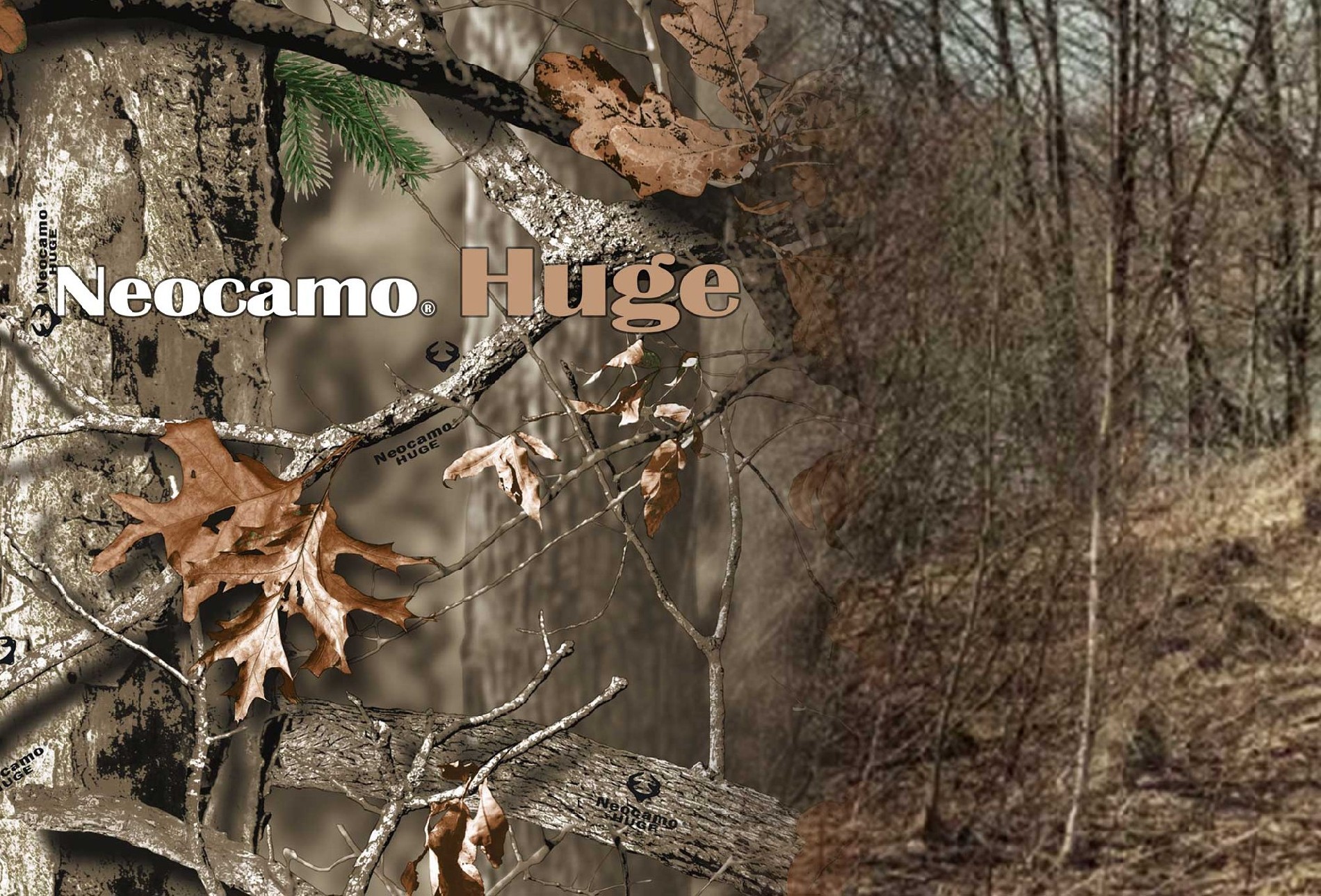 Neocamo Huge