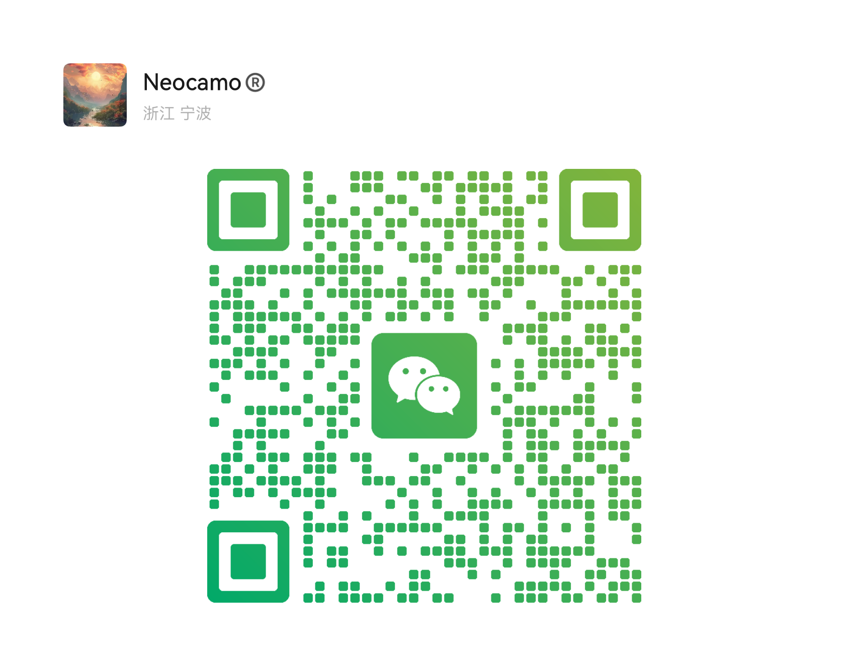 the qr code